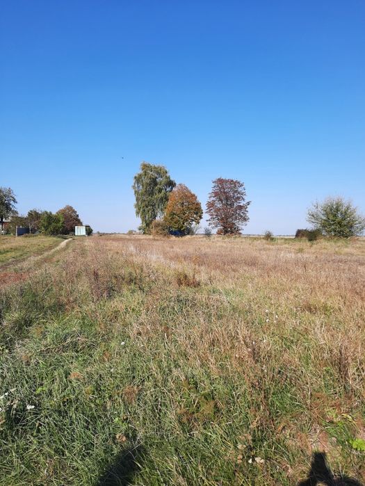 м. Ніжин. Земельна ділянка. Ціна знижена!