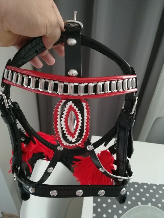 Kantar uzda  na kuca