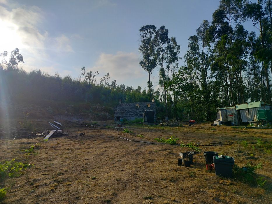 terreno para viver em off grid