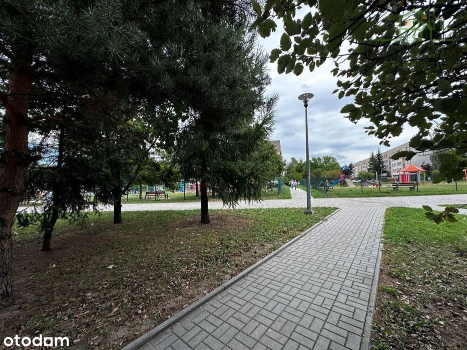 Zdjęcie 8