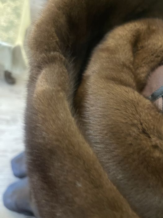 Шуба норкова . Дубаї