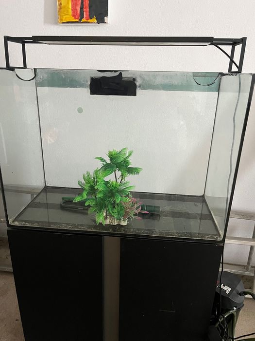 Aquário de 125 L com bomba é iluminação