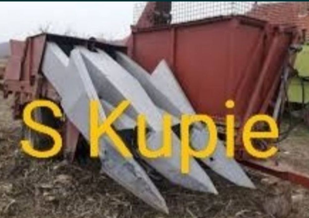 Kukurydza Ccm Kolby