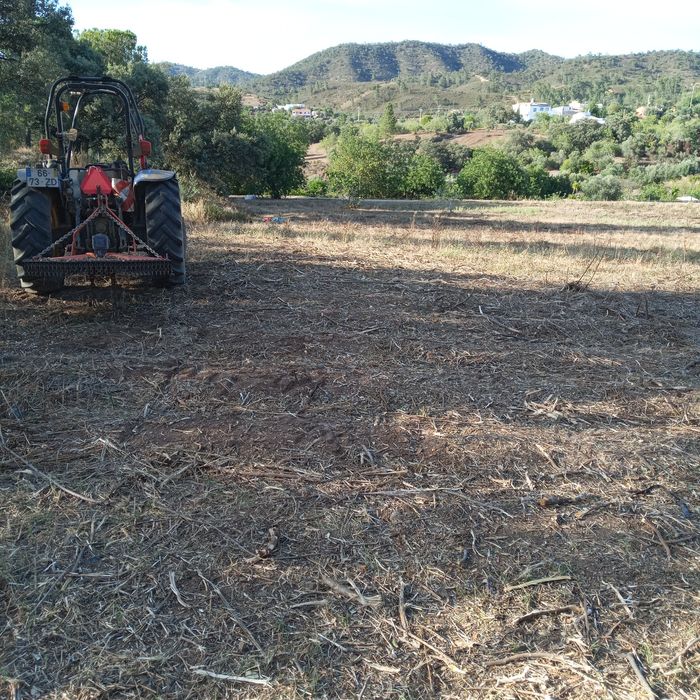 Limpeza de terrenos
