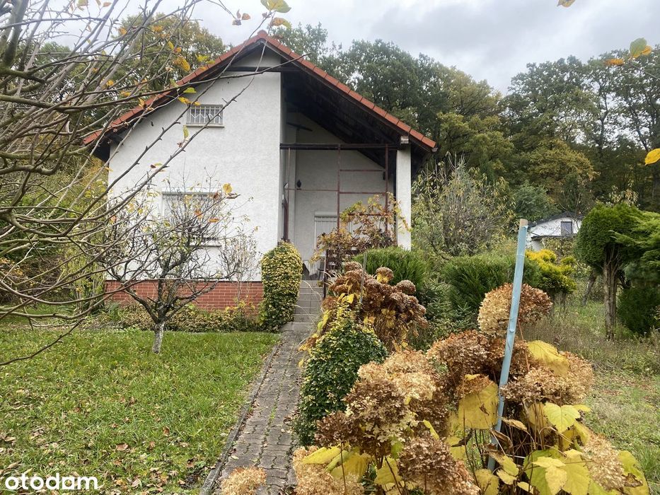 Super Okazja!
Działka Rekreacyjna Z Domkiem Murowanym Racibórz-Brzezie