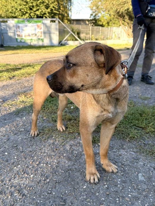 Шукаємо люблячу, відповідальну сімʼю! Хлопчик 1,5 роки