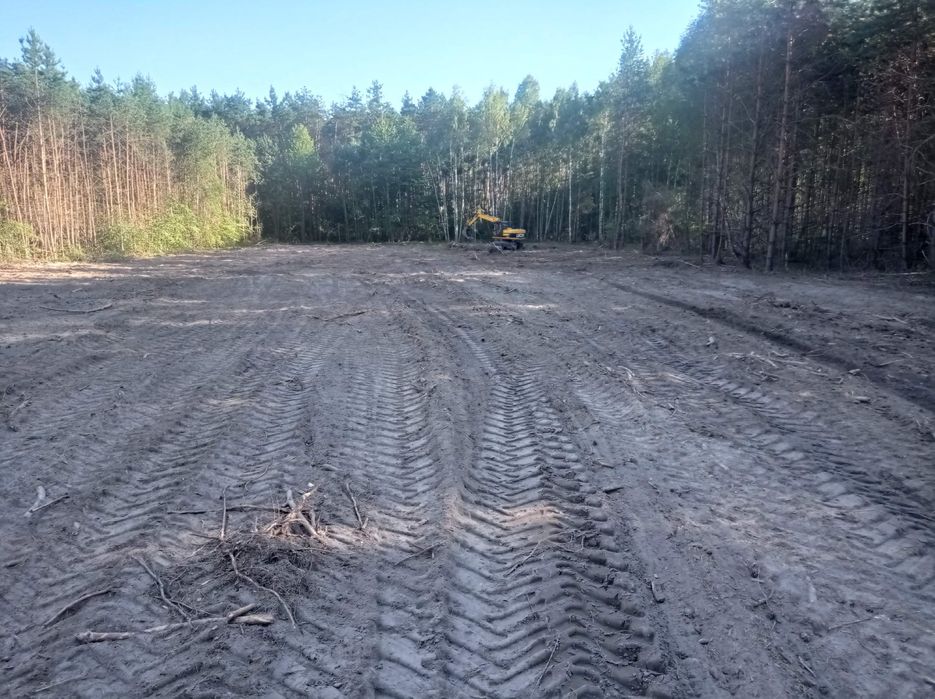 Wycinka samosiejek, sadów, zarośli skupujemy drewno na pniu!