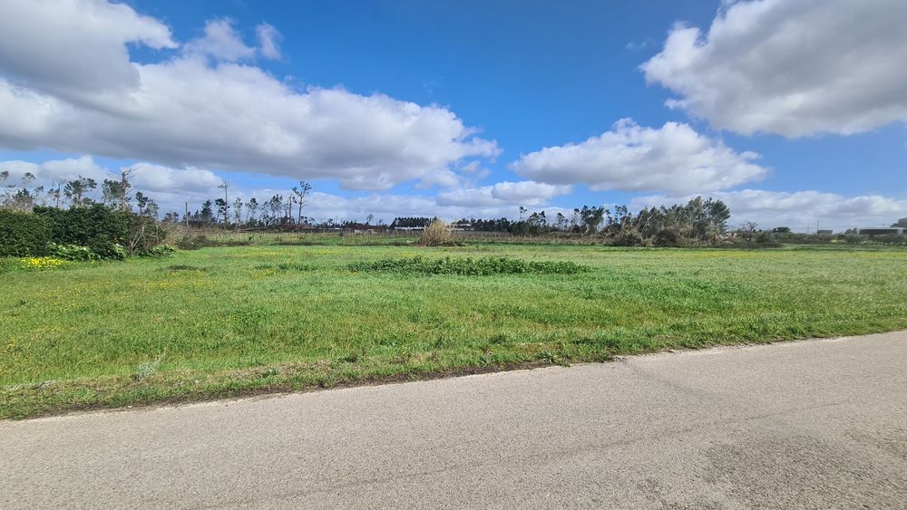Terreno 7.000m² p/ Construção – Bouça de Cá, Bajouca | Índice 0.5