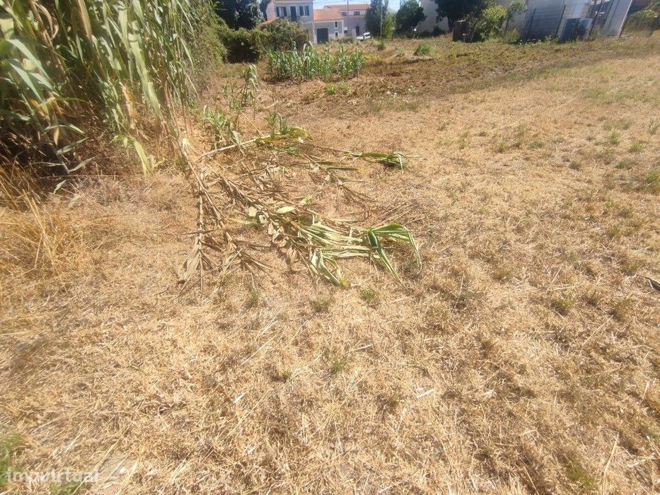 Terreno em Esgueira - Mataduços