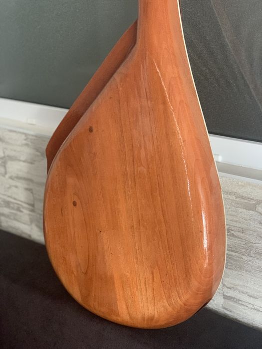 Бандура чернігівська проста !