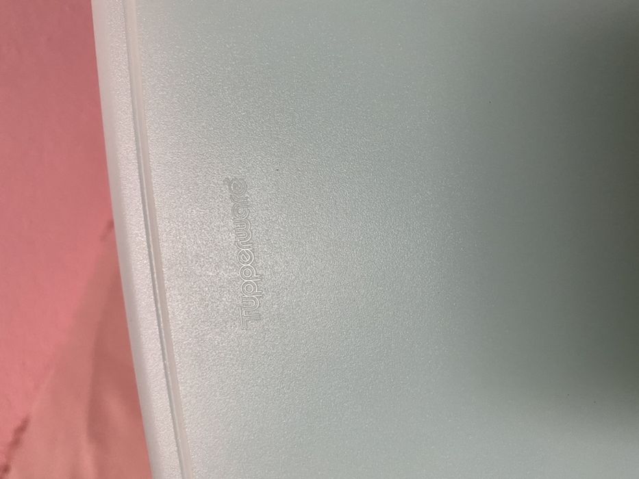 Tupperware para congelaçao rasa 24 x 29 (1.25 lt)