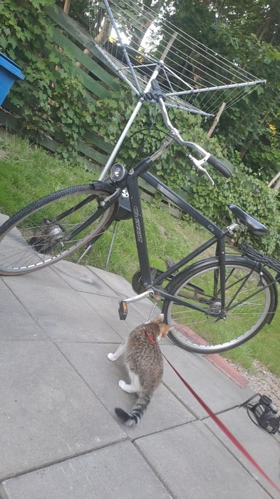 Rower miejski 28 cali