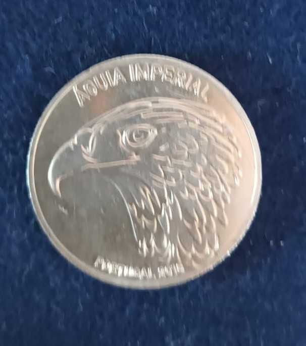 Espécies de Animais Ameaçadas – Águia Imperial