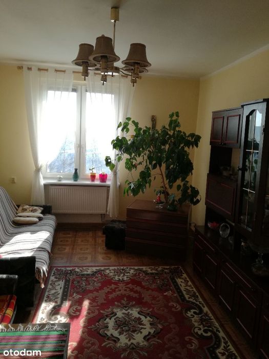 2 Pokoje+piwnica w dobrej lokalizacji/DO REMONTU!!