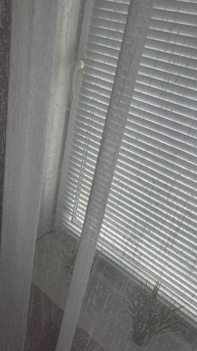 Кухонний тюль білий "Сніжок" 2,4х1,7м для карнизу 1,2-1,5м