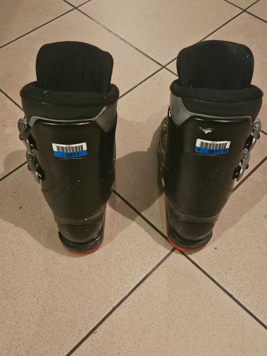 Zestaw Narty Salomon + Buty narciarskie Tecno + Kijki