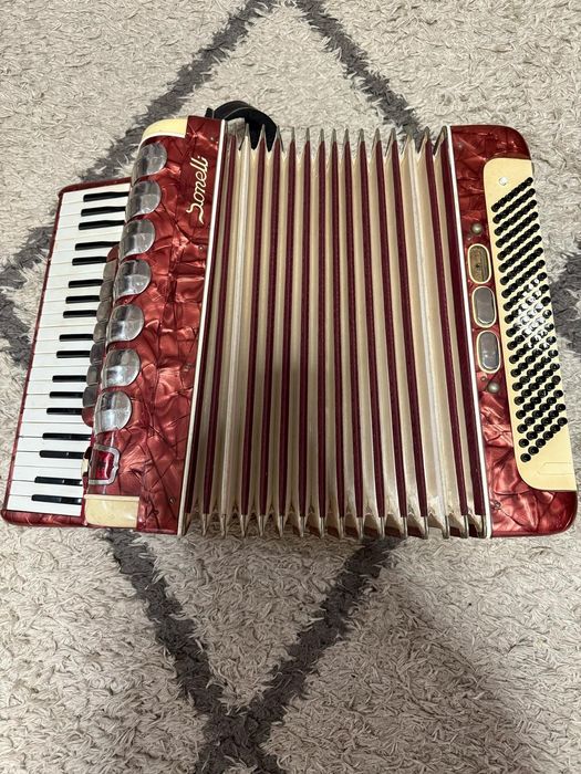 Acordeão sonelli