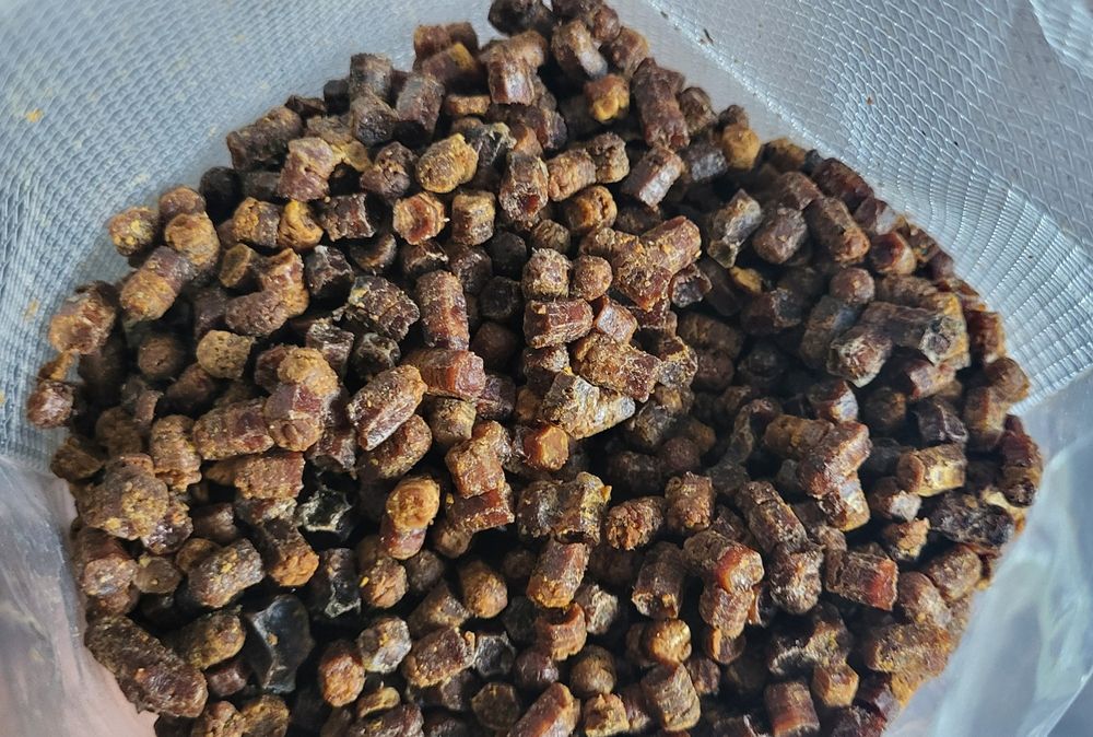 Pierzga Pszczela 100 gram