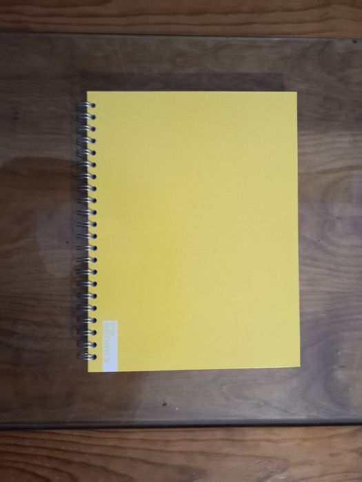 Cadernos (varias cores)