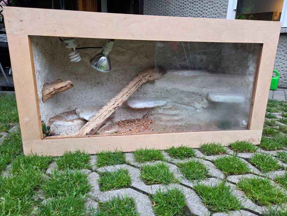 Terrarium pustynne