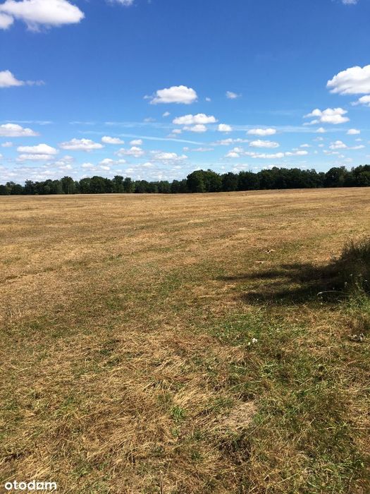 Rolna 33,57 ha + dodatkowo 17,33 ha -ew. siedlisko, inwestycja !