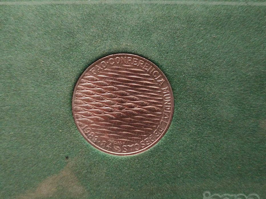 1984 – BNC – FAO Pescas