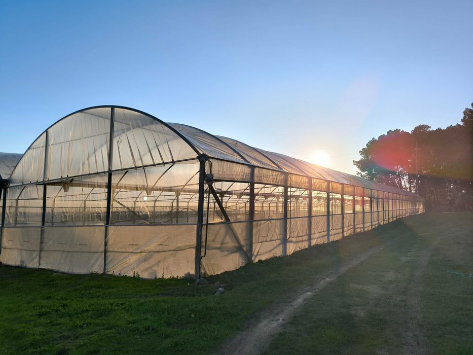 2 estufas agrícolas