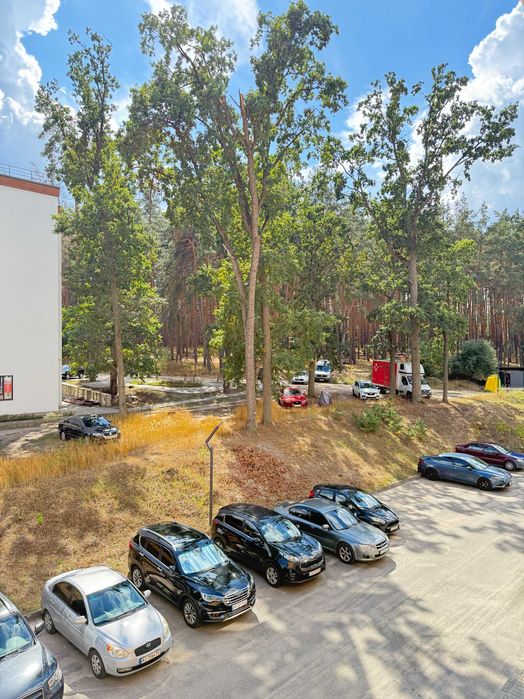 Продам Гарну євро-3 кімнатну квартиру на середньому поверсі, Кухня-Вітальня, податки-манімальні, сосни в вікні-вічно зелені