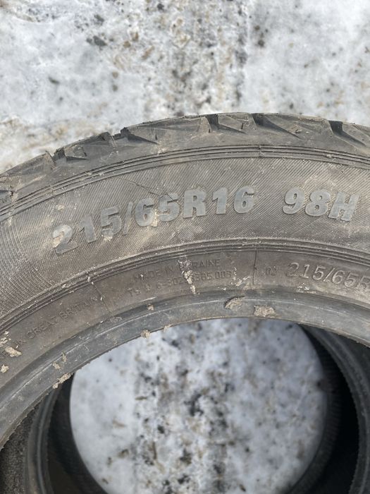 215.65.16 premiorri зима