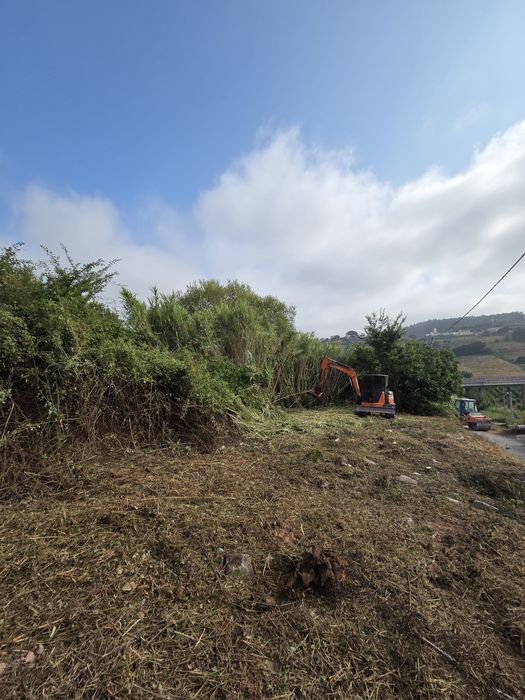 Limpeza de terrenos/Quintais/florestais