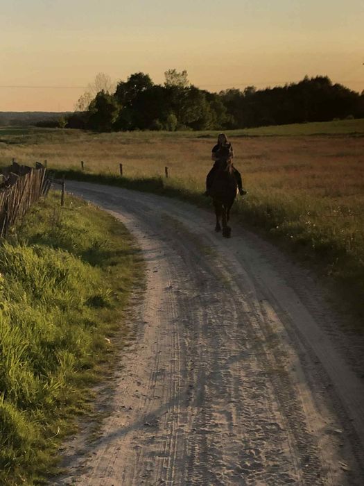 Jazdy konne w terenie
