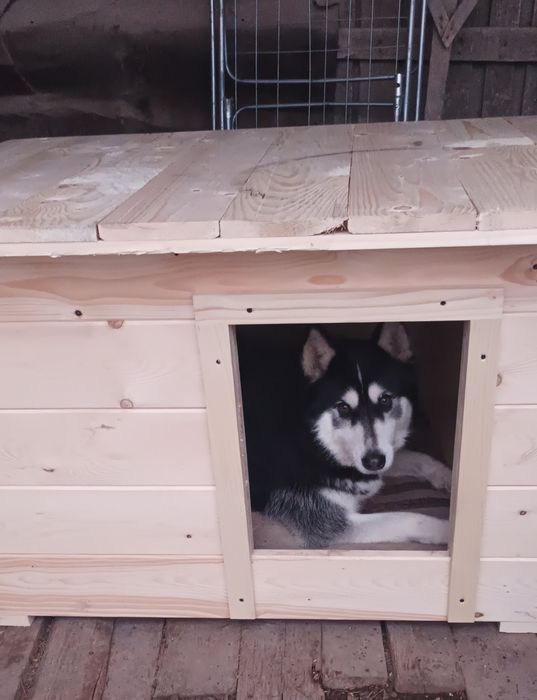 Будки для собак/ ціни в описі/ різні розміри/доставка по всій Україні