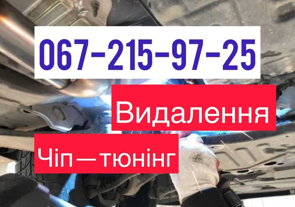 Удаление катализатора Видалення Саж. фильтр Прошивка Бесплатно СТЕЙДЖ1