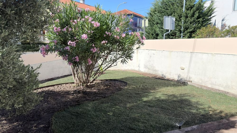 Jardinagem e limpeza de terrenos