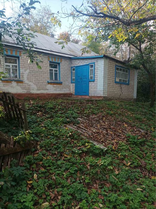 Продам будинок у мальовничому селі