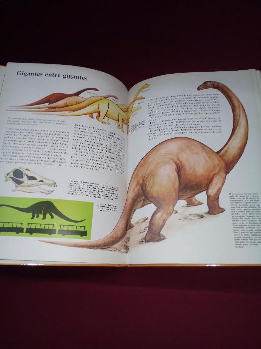 enciclopédia juvenil ilustrada " a pré historia"