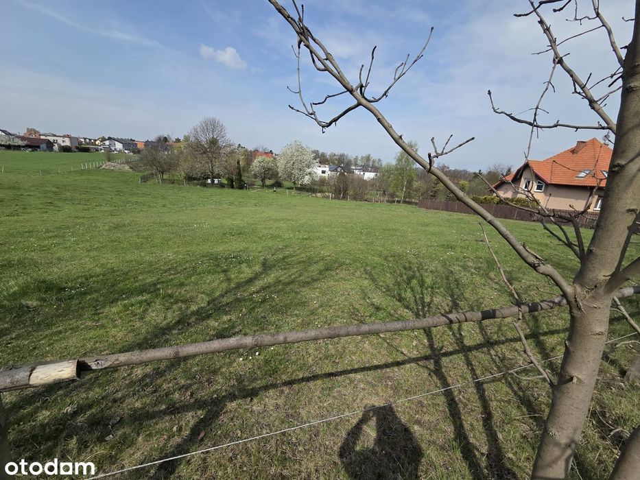 Działka na sprzedaż w Mikołowie, 2319 m²