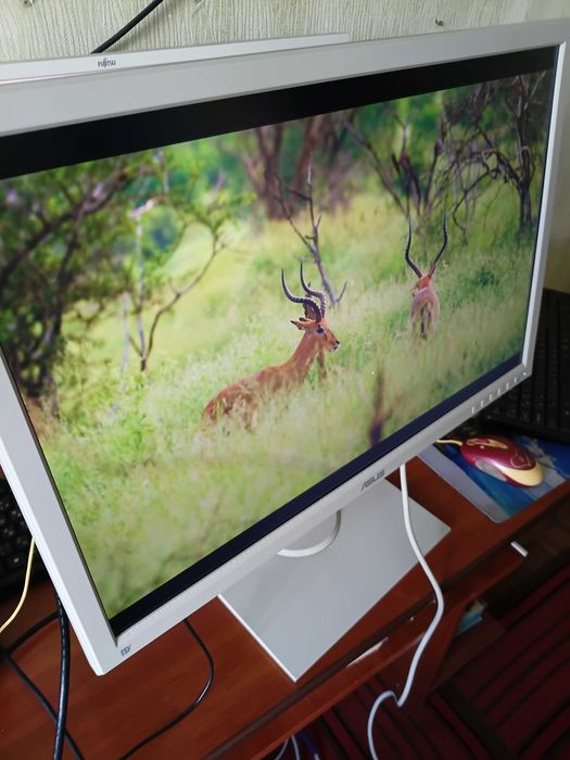 Монитор ASUS BE24AQC