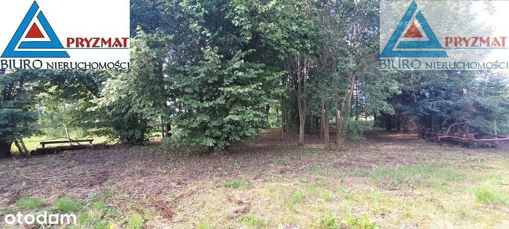 Działka z warunkami zabudowy -Wilczkowo