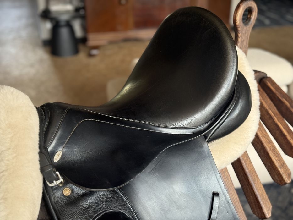 108. Kentaur Andromeda Dressage 17,5” / 33