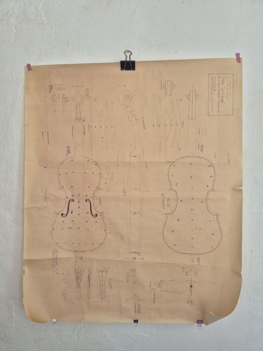 Vintage grafika plan skrzypiec 1:1  Antonio Stradivari