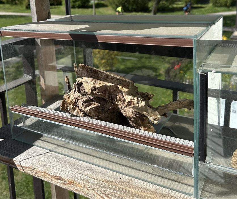 Terrarium z elementem dekoracyjnym – solidne, zadbane