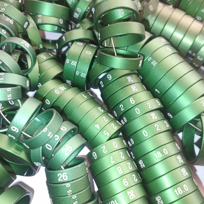 Anilhas de alta qualidade para aves grande porte 2025/26