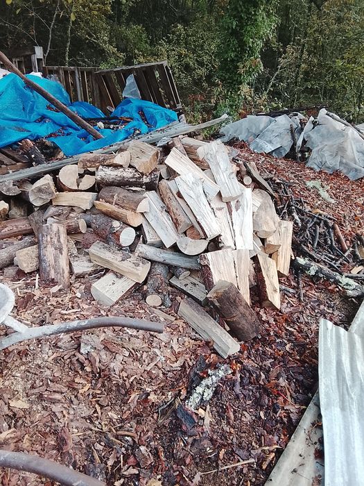 Vendo Lenha de pinho e carvalho