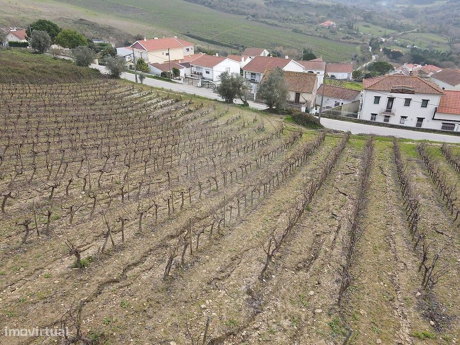 Terreno  para venda