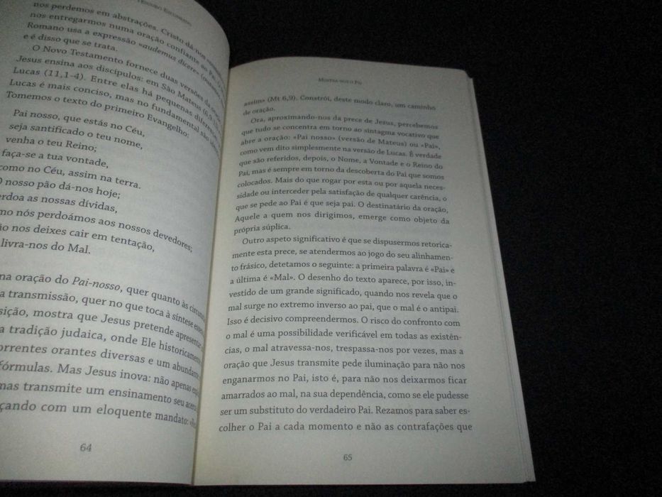 Livro O Tesouro Escondido José Tolentino Mendonça 7ª edição