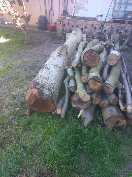 drewno z orzecha włoskiego ,orzechowe 2 m3 grube