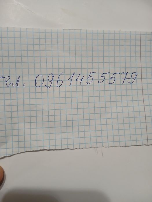 Маточники одноголової  хризантеми