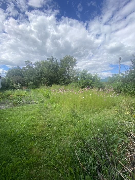 Продам ветхій будинок з земельною ділянкою  в центрі  села Глибочиця