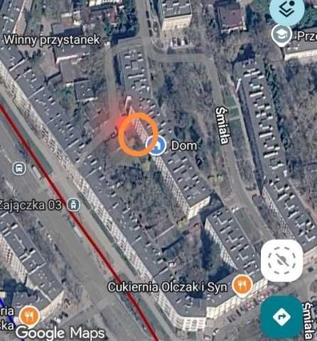 Warszawa Żoliborz - zaginął buro-biały kocurek Miczi